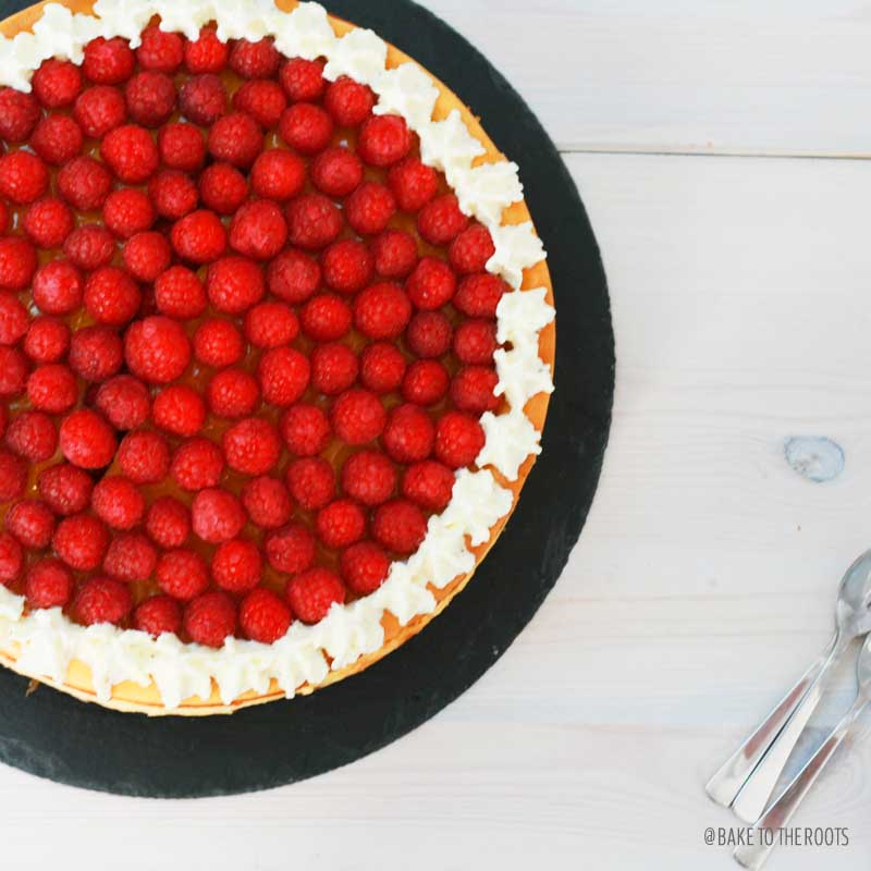 Raspberry Apricot Cheesecake with Chocolate Crusts | Bake to the roots