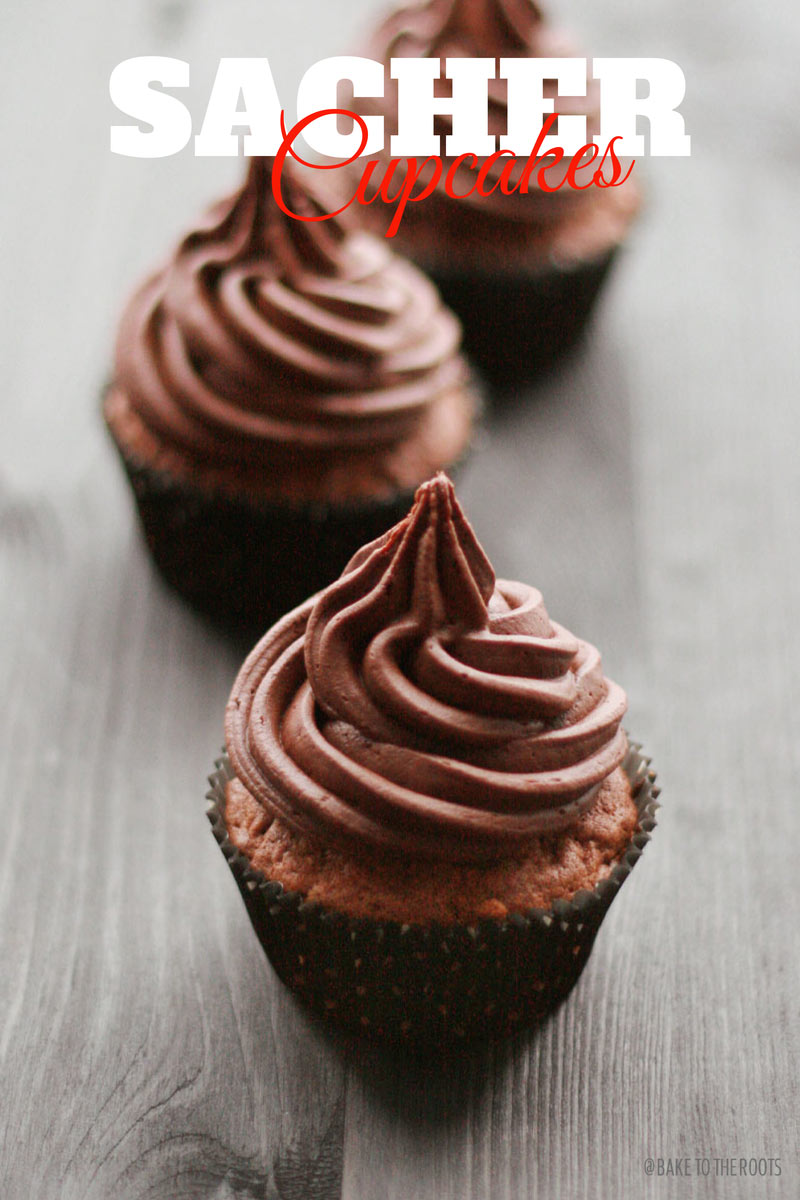 Sacher Cupcakes | Bake to the roots