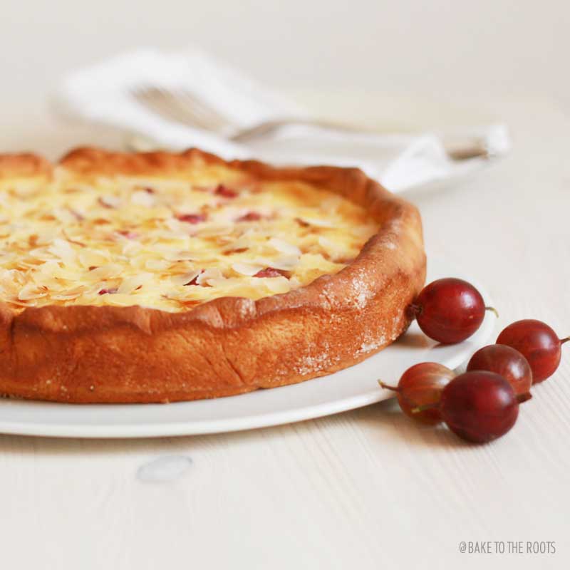 Rustic Gooseberry Cheesecake | Bake to the roots