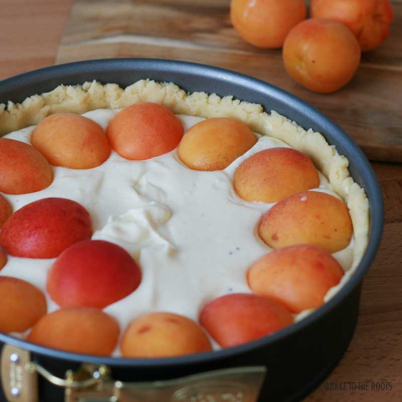 Apricot Crumb Cheesecake | Bake to the roots