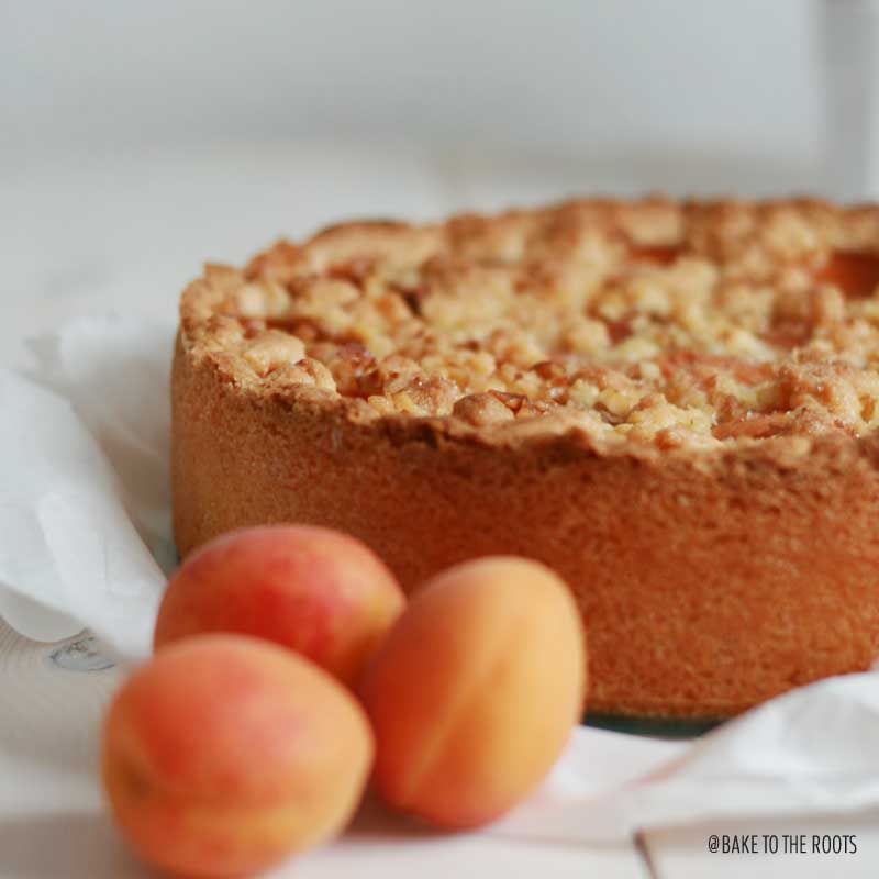 Apricot Crumb Cheesecake | Bake to the roots