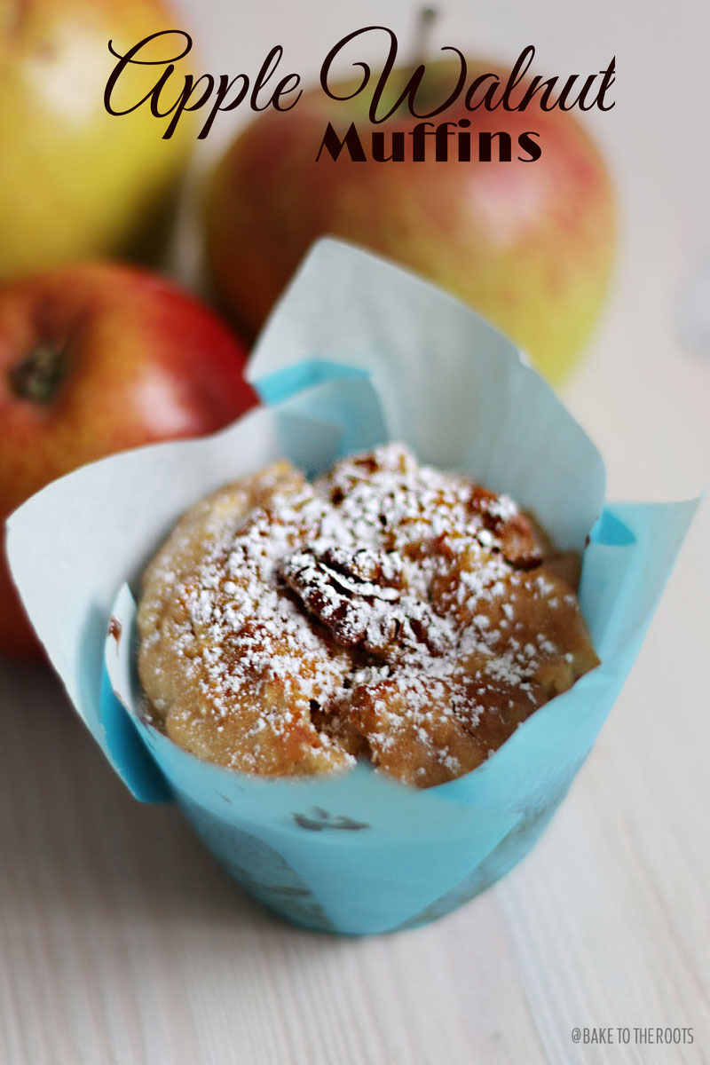 Apfel Walnuss Muffins