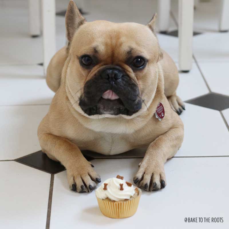 Doggy Cupcakes | Bake to the roots