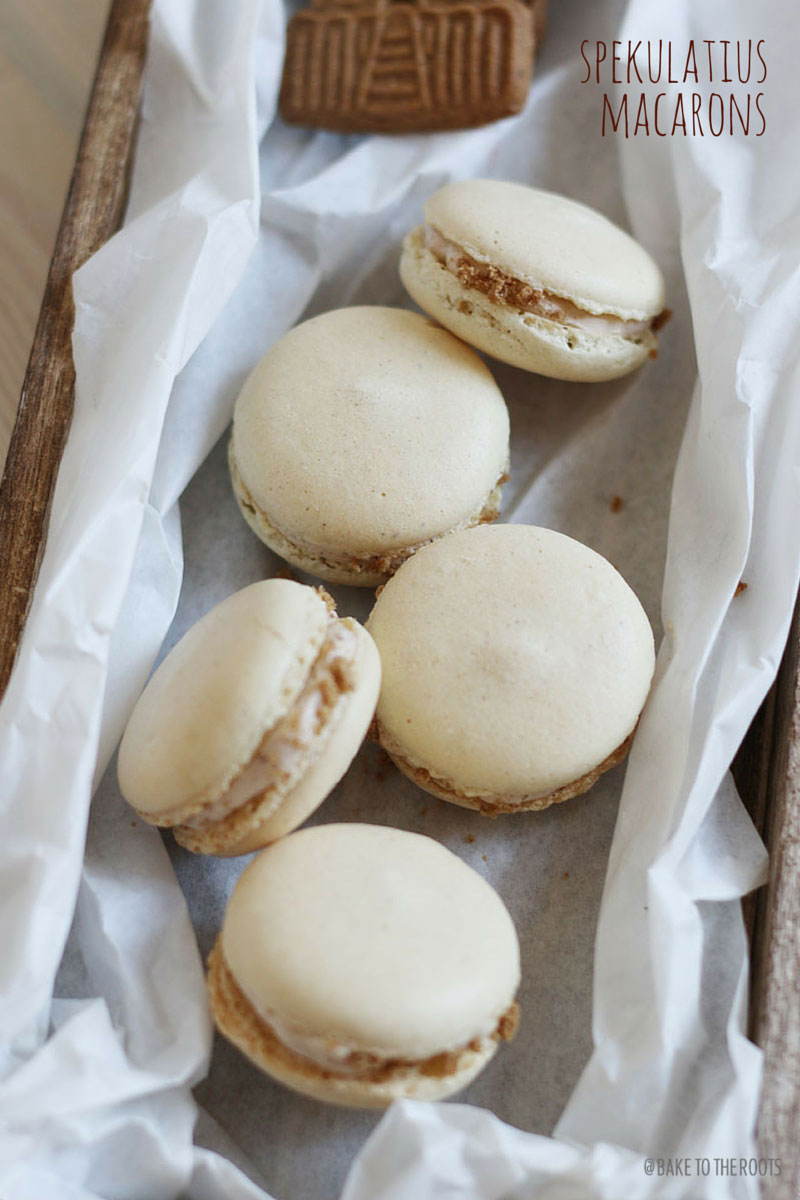Speculoos (Gingery Cookie) Macarons