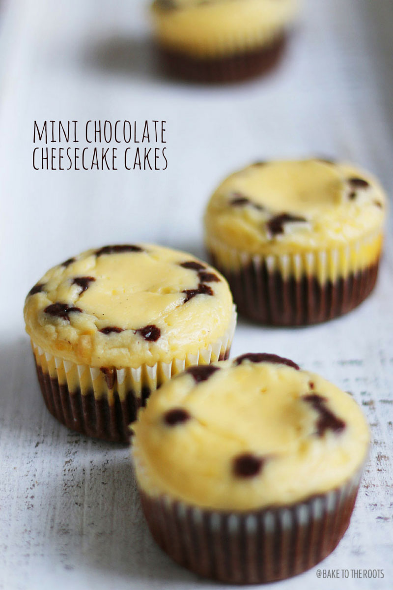 Mini Chocolate Cheesecake Cakes | Bake to the roots