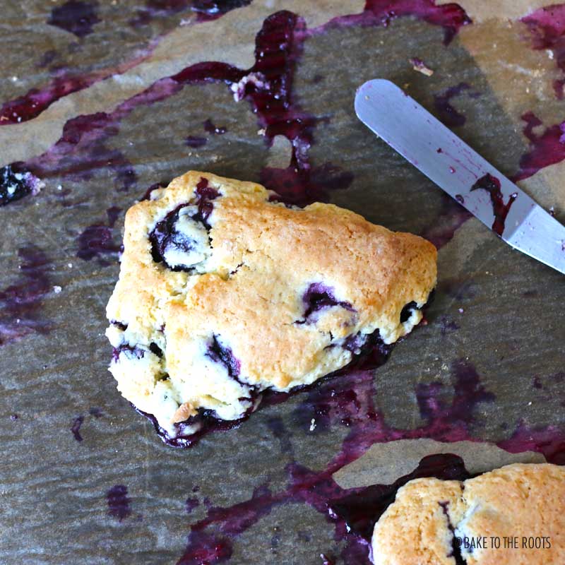 Blueberry Lemon Scones | Bake to the roots
