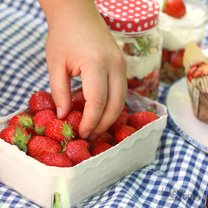 Picknick mit Erdbeeren Snacks | Bake to the roots