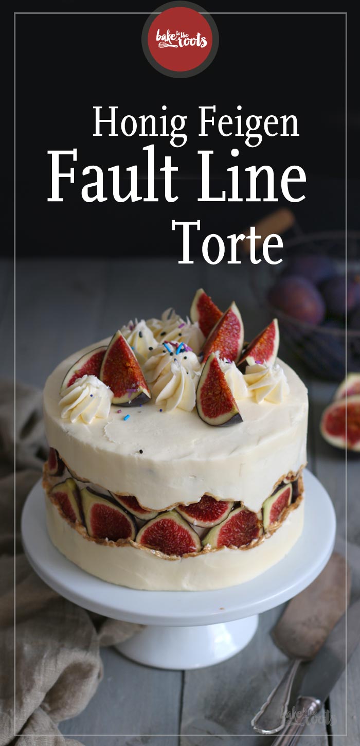 Honig Feigen Fault Line Torte | Bake to the roots