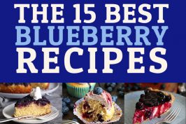 The 15 Best Blueberry Recipes | Bake to the roots
