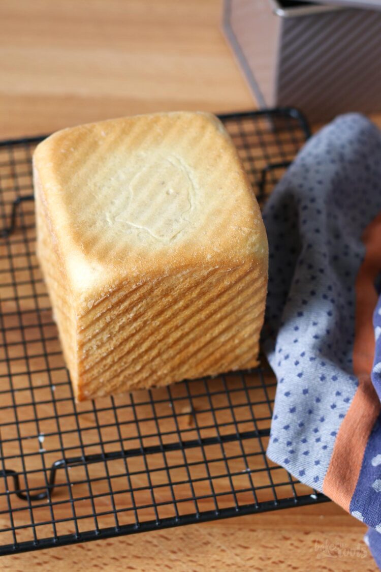 Shibuya Honey Toast | Bake to the roots