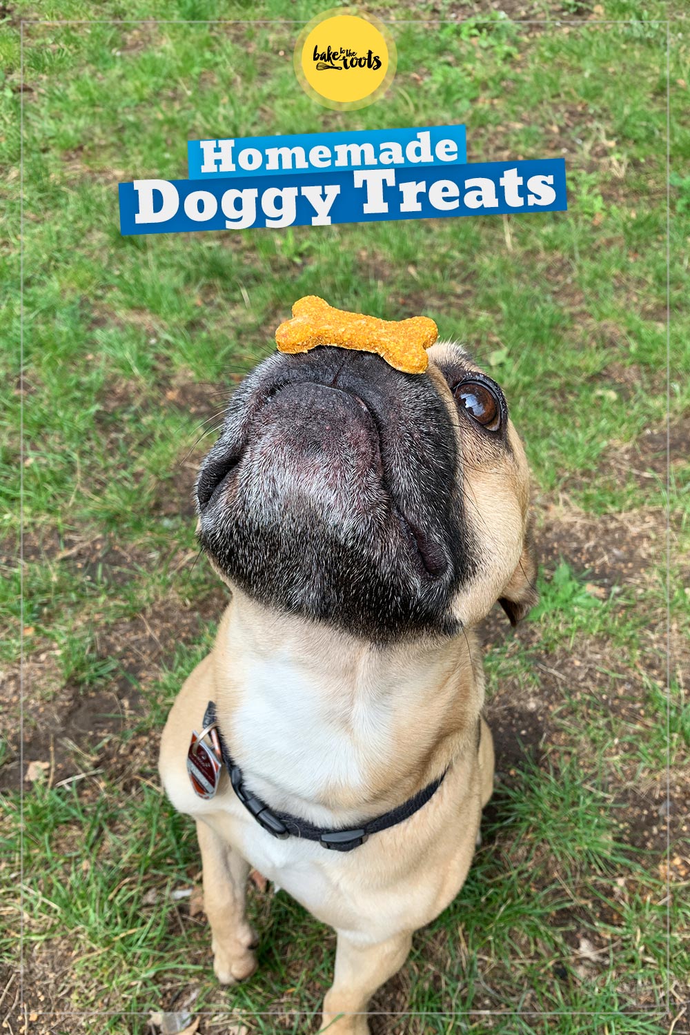 Hundekekse mit Karotten und Kartoffeln | Bake to the roots