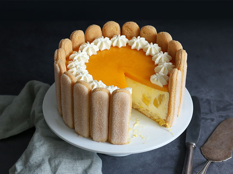 Mango Cheesecake Charlotte | Bake to the roots