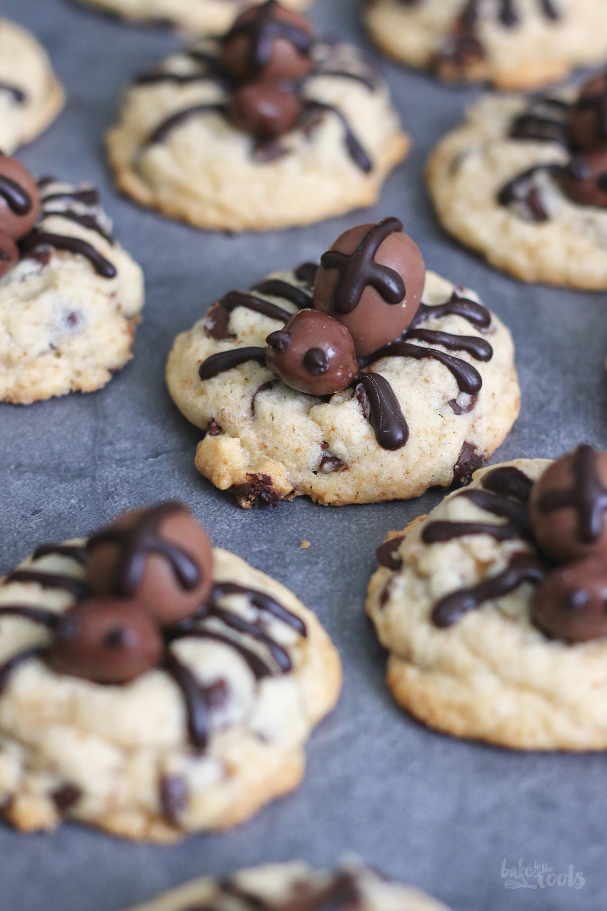 Spider Chocolate Chip Cookies | Bake to the roots