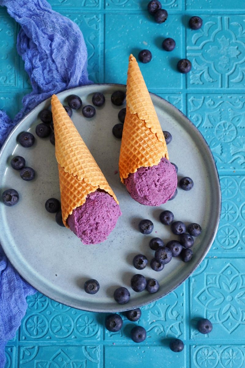 Easy Blueberry Cottage Cheese Ice Cream Bake to the roots