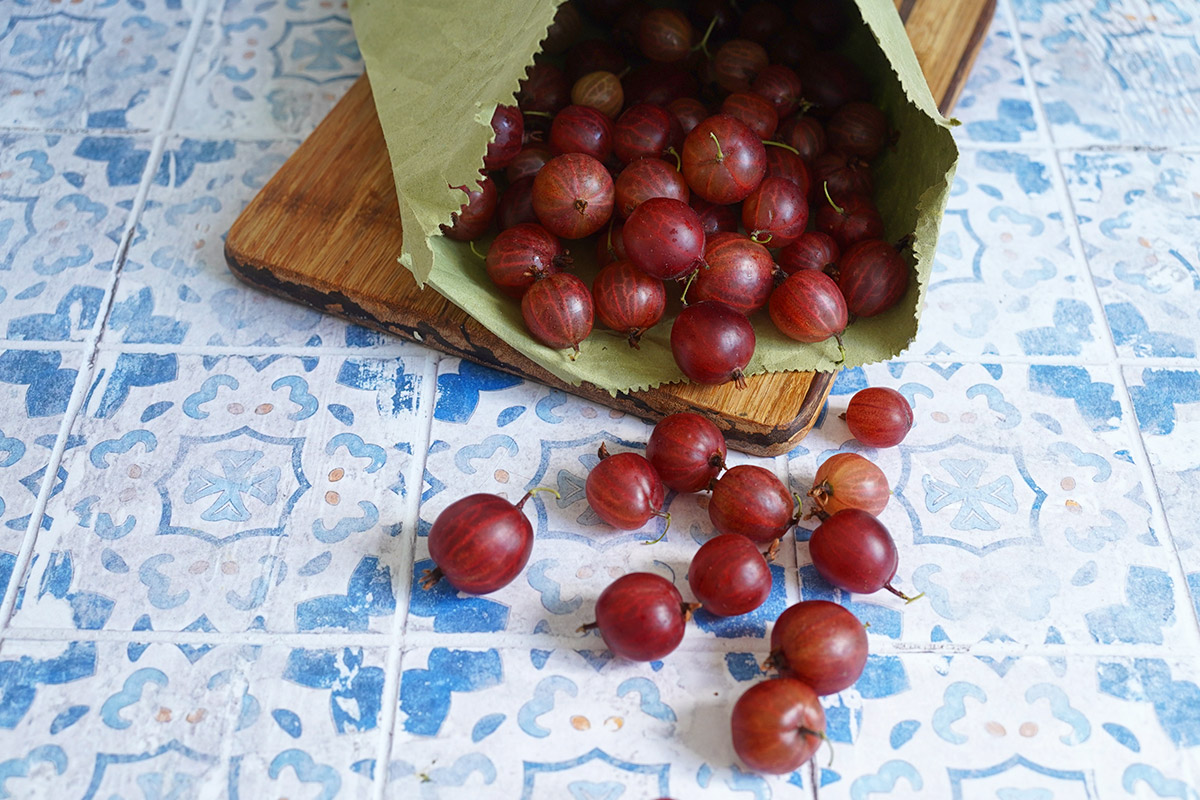 Alles, was man über Stachelbeeren wissen sollte