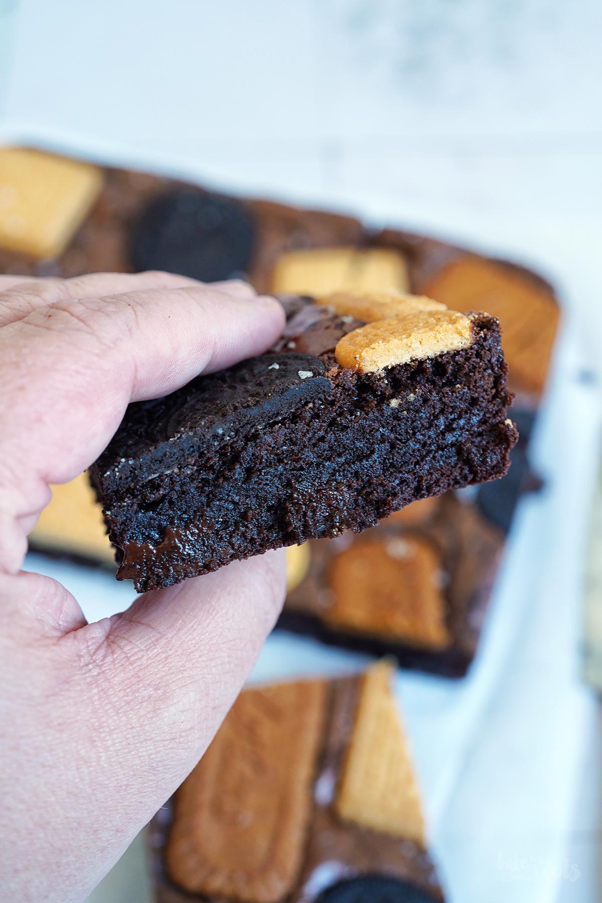 Fudgy Biscuits Brownies | Bake to the roots