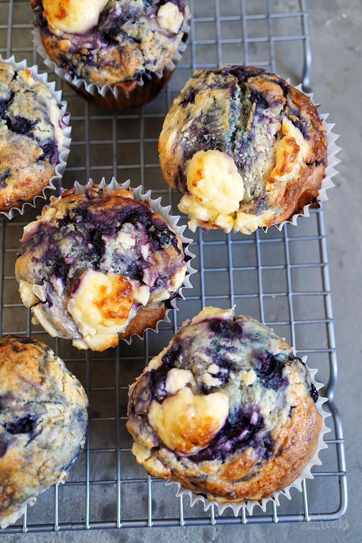 XL Blaubeeren Cheesecake Muffins | Bake to the roots