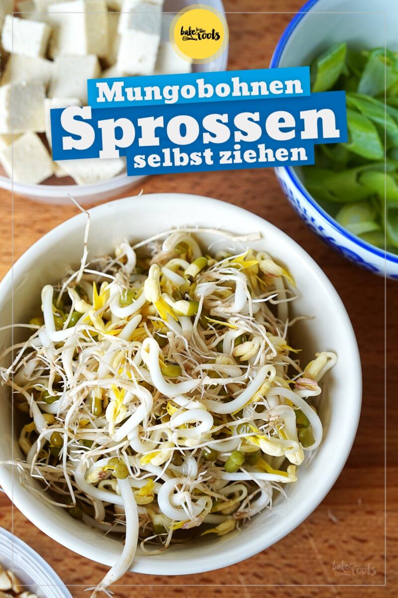 Mungobohnen Magie Entdecken Sie 10 Unwiderstehliche Rezepte Mit Dieser Superbohne