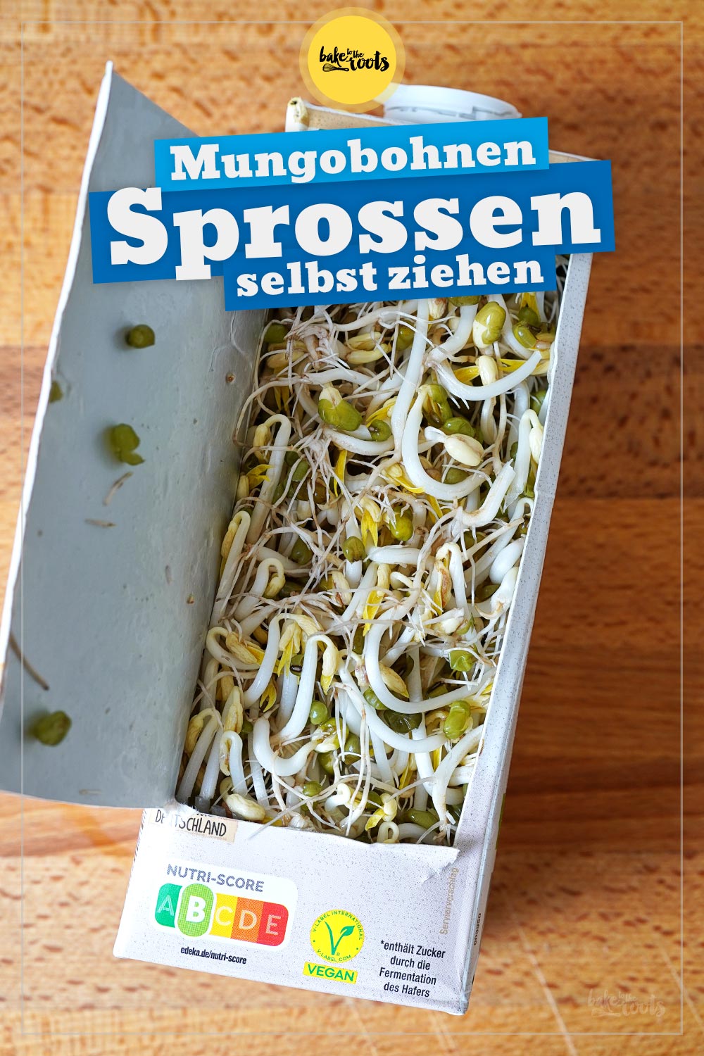 Mungobohnen Sprossen selbst ziehen | Bake to the roots