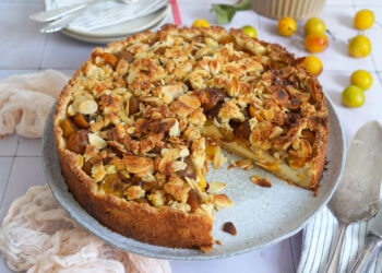 Mirabellen Pudding Streuselkuchen | Bake to the roots
